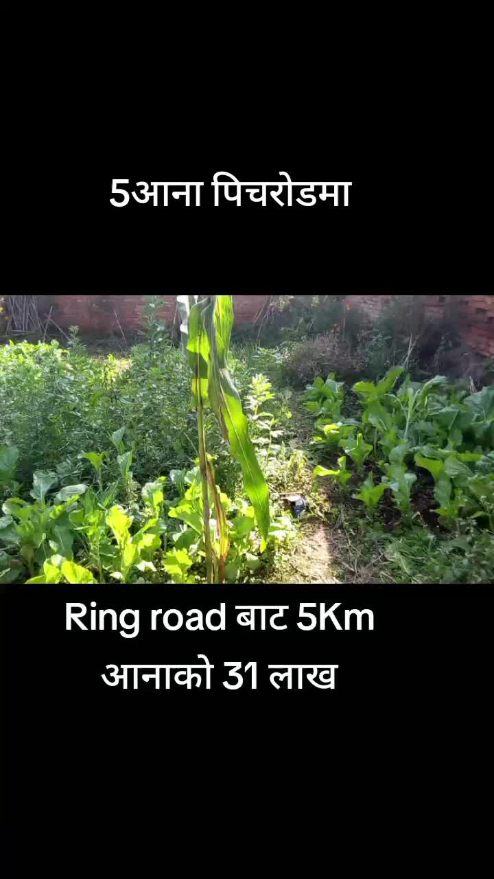 @9818769855