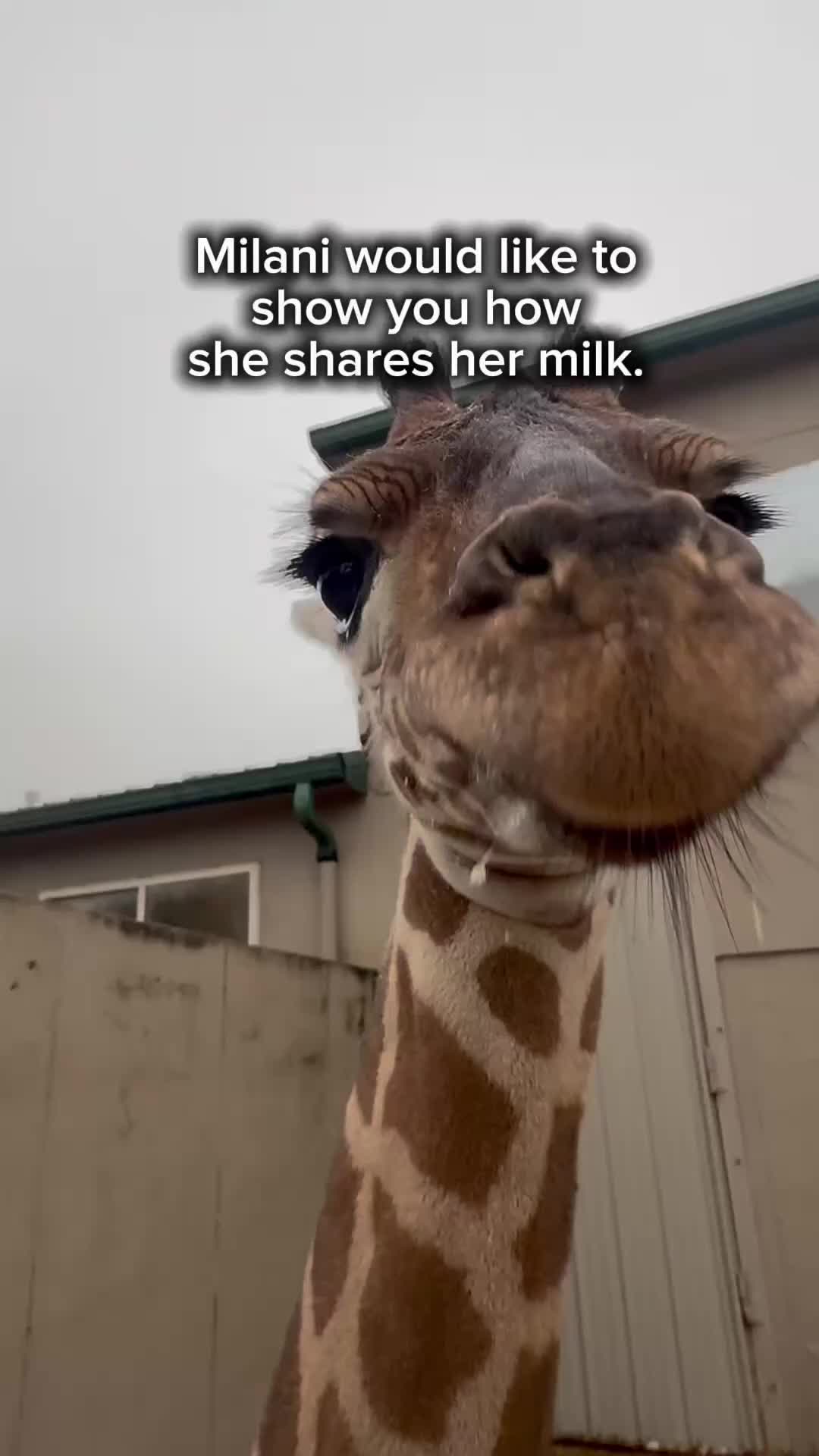 @TanganyikaWildlifePark
