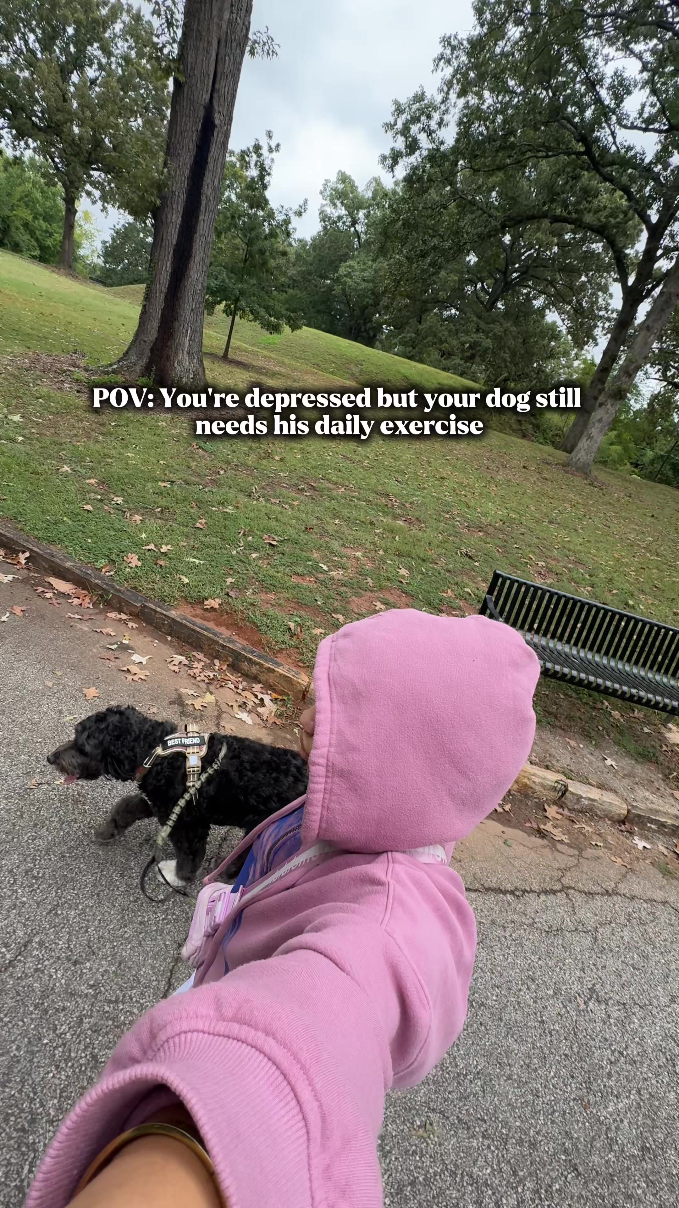 @Bella
