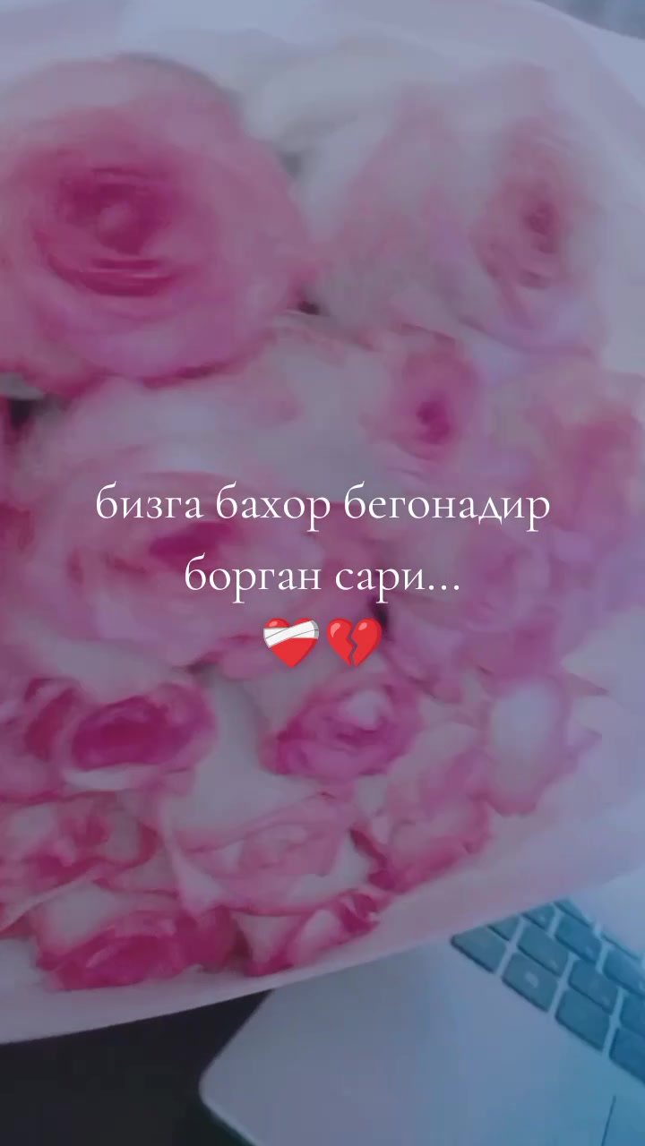 @๐ฅฐ๐น.๐.๐.๐ฆ.๐.๐ .๐ฃ๐ฅฐ