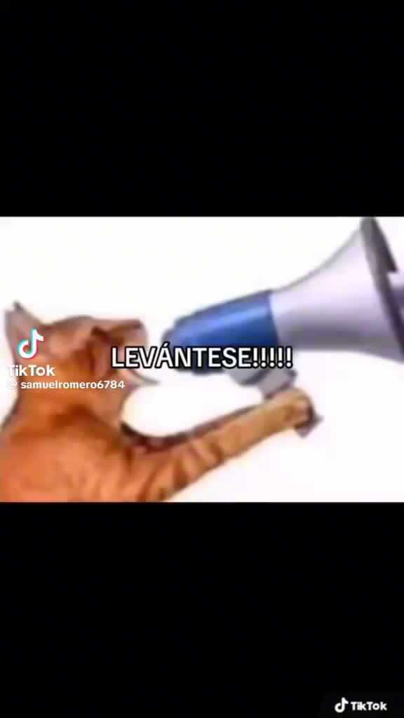 @𝔰𝔞𝔪𝔲𝔢𝔩&dagger;