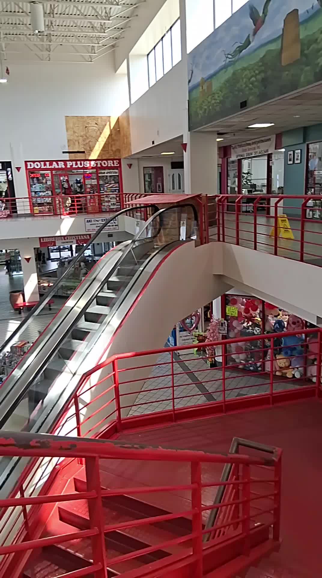 @Ventura Mirta