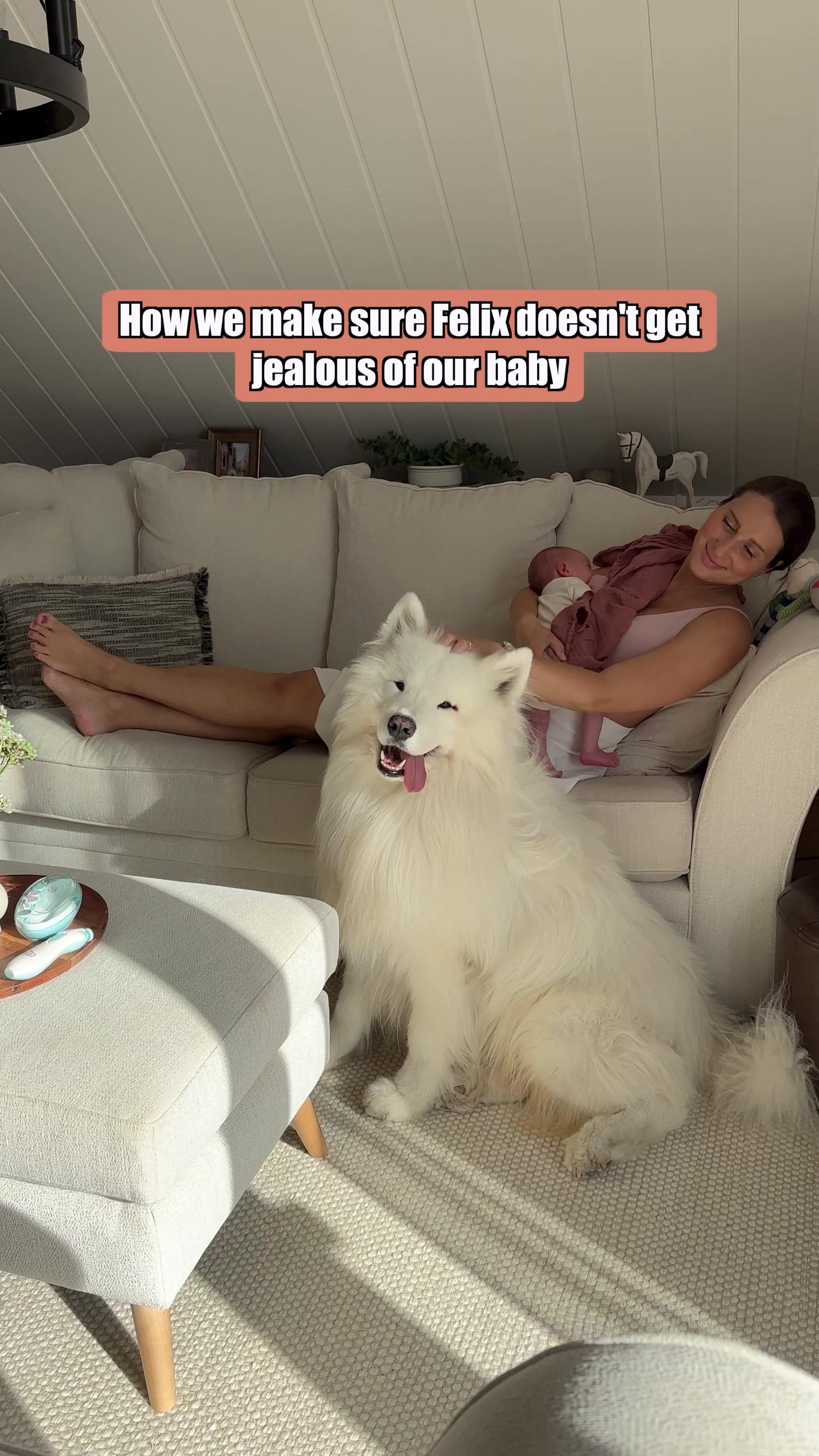 @wanderlust_samoyed