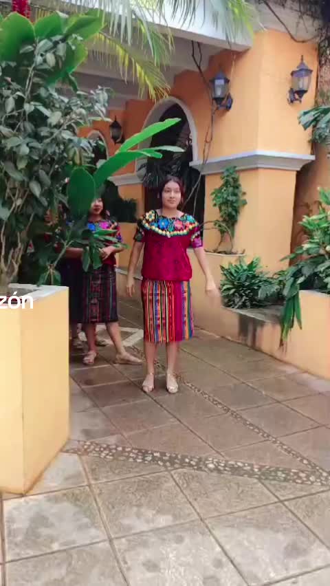 @Tradicionalbailesagradocorazón