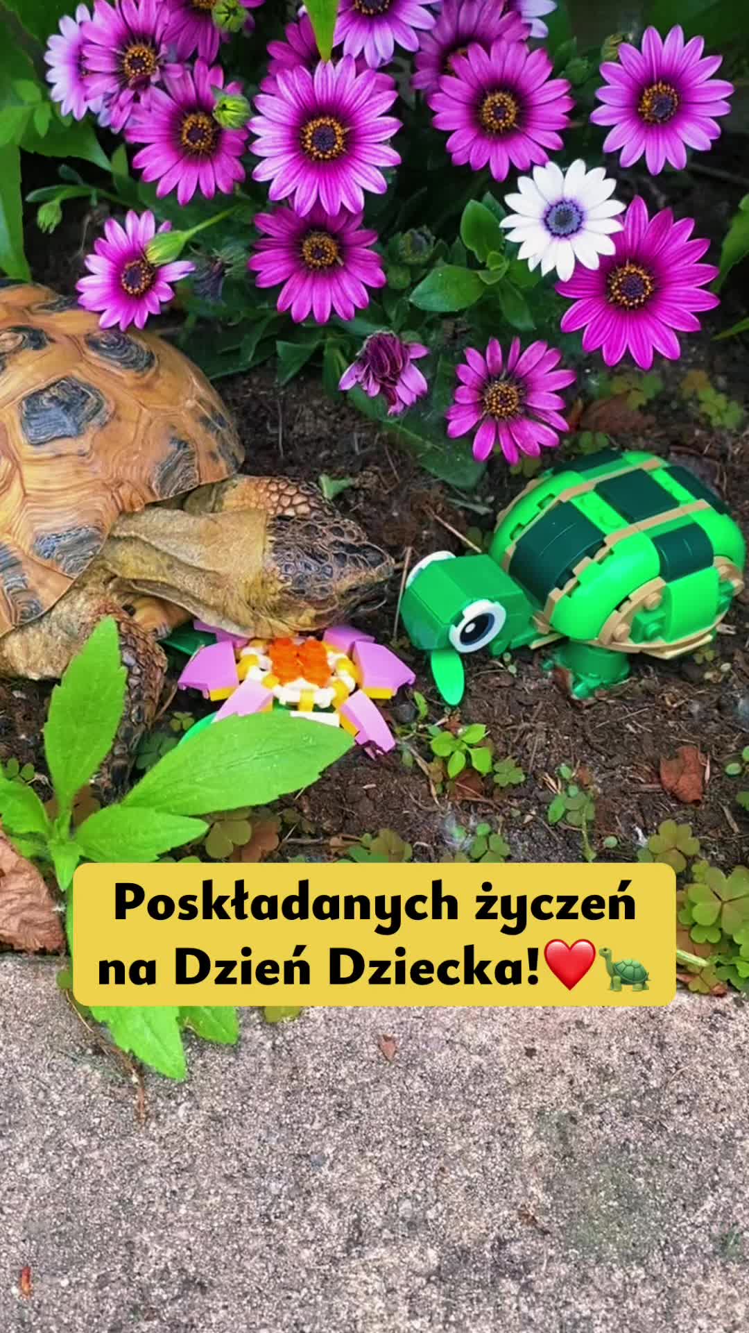 @Ż&oacute;łw Stefan Pierwszy