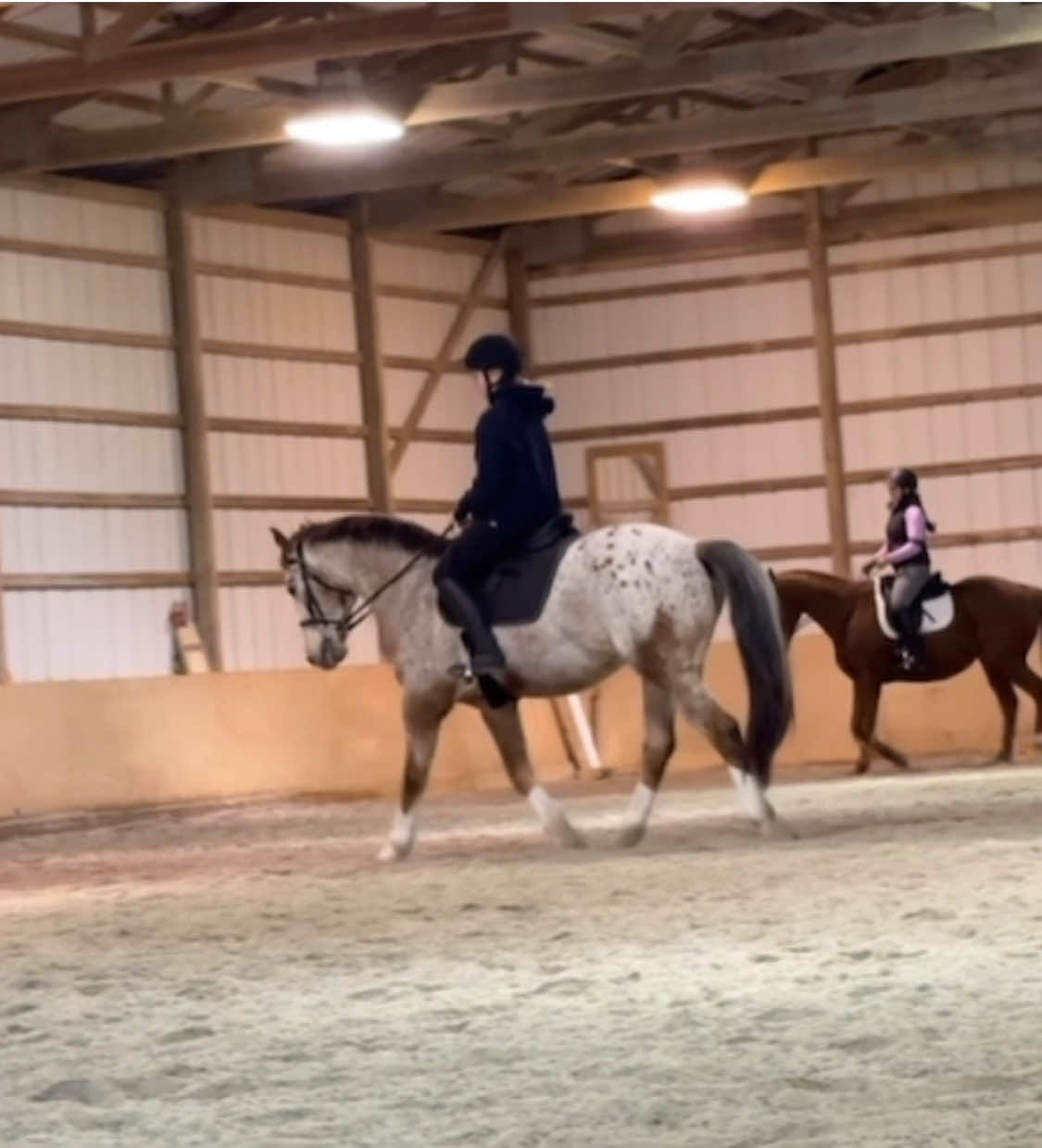 @Equestrian 🐴🐎