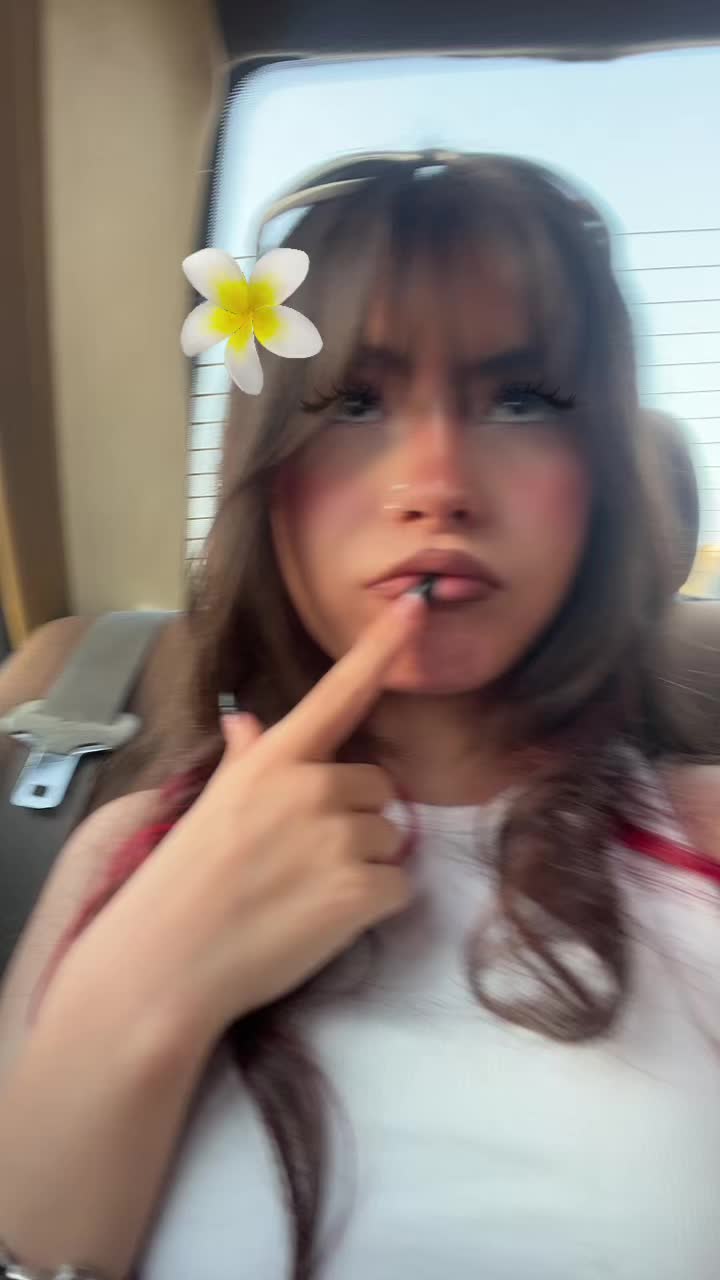 @🐨💕