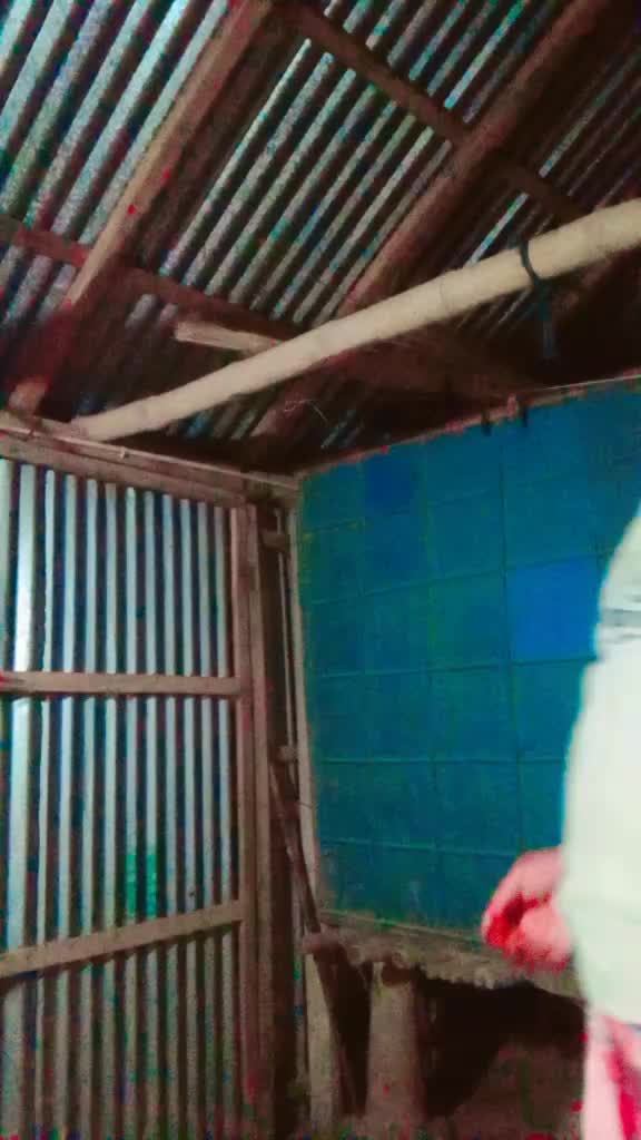 @❤️শরাফ উদ্দিন হৃদয়❤️