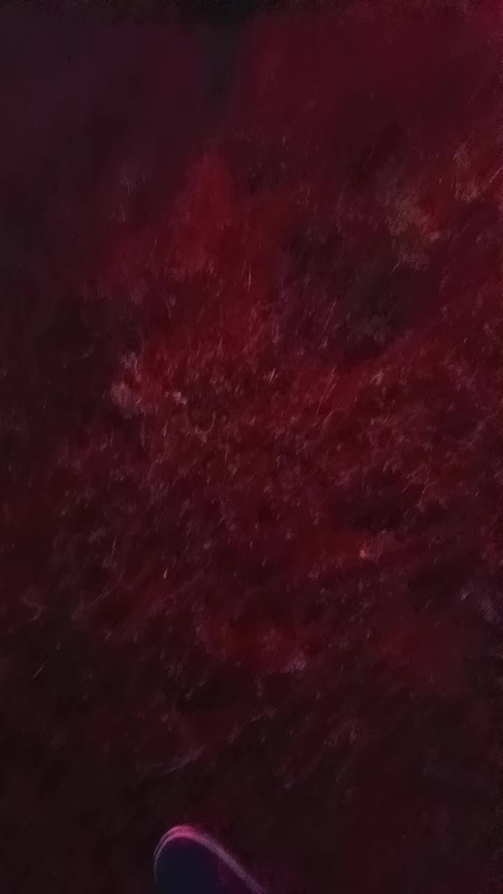 @GLADIATORVOD 56