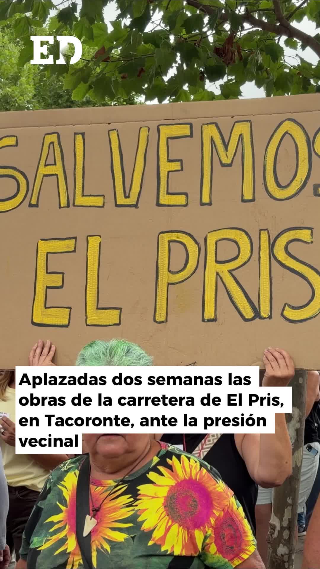 @El D&iacute;a - Tenerife