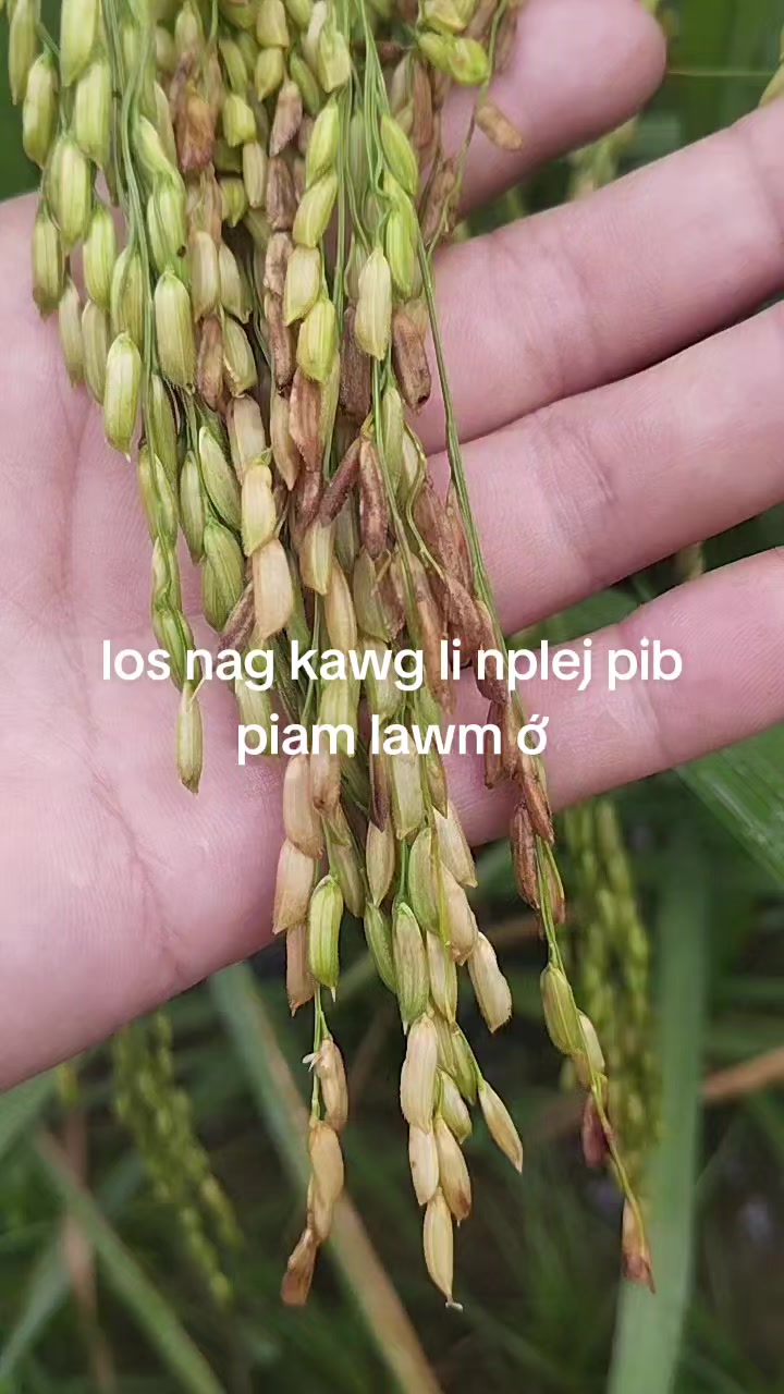 @không tên