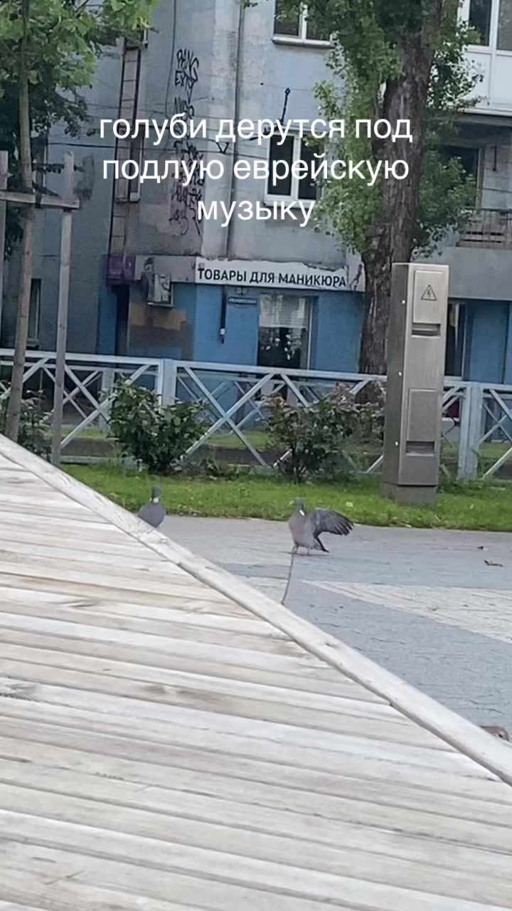 @акишшша