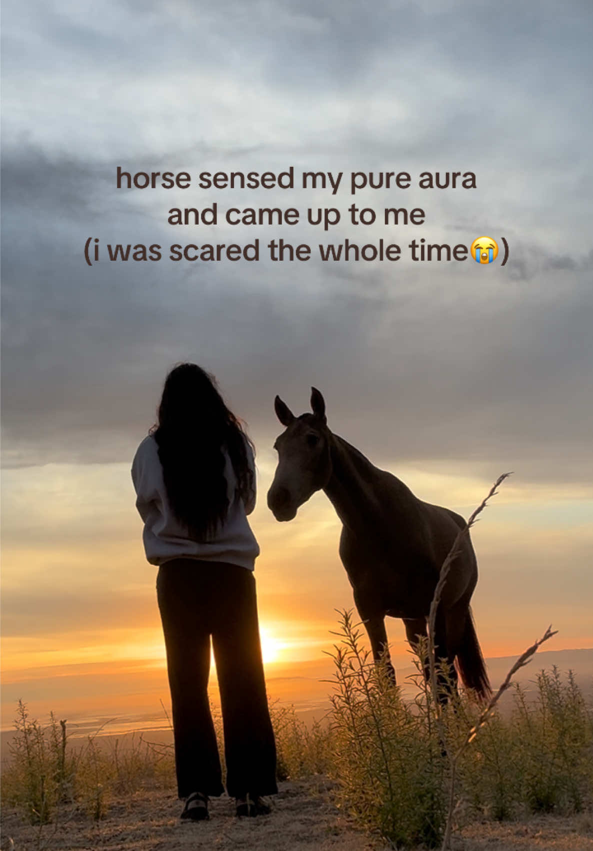 @Manpreet🦋
