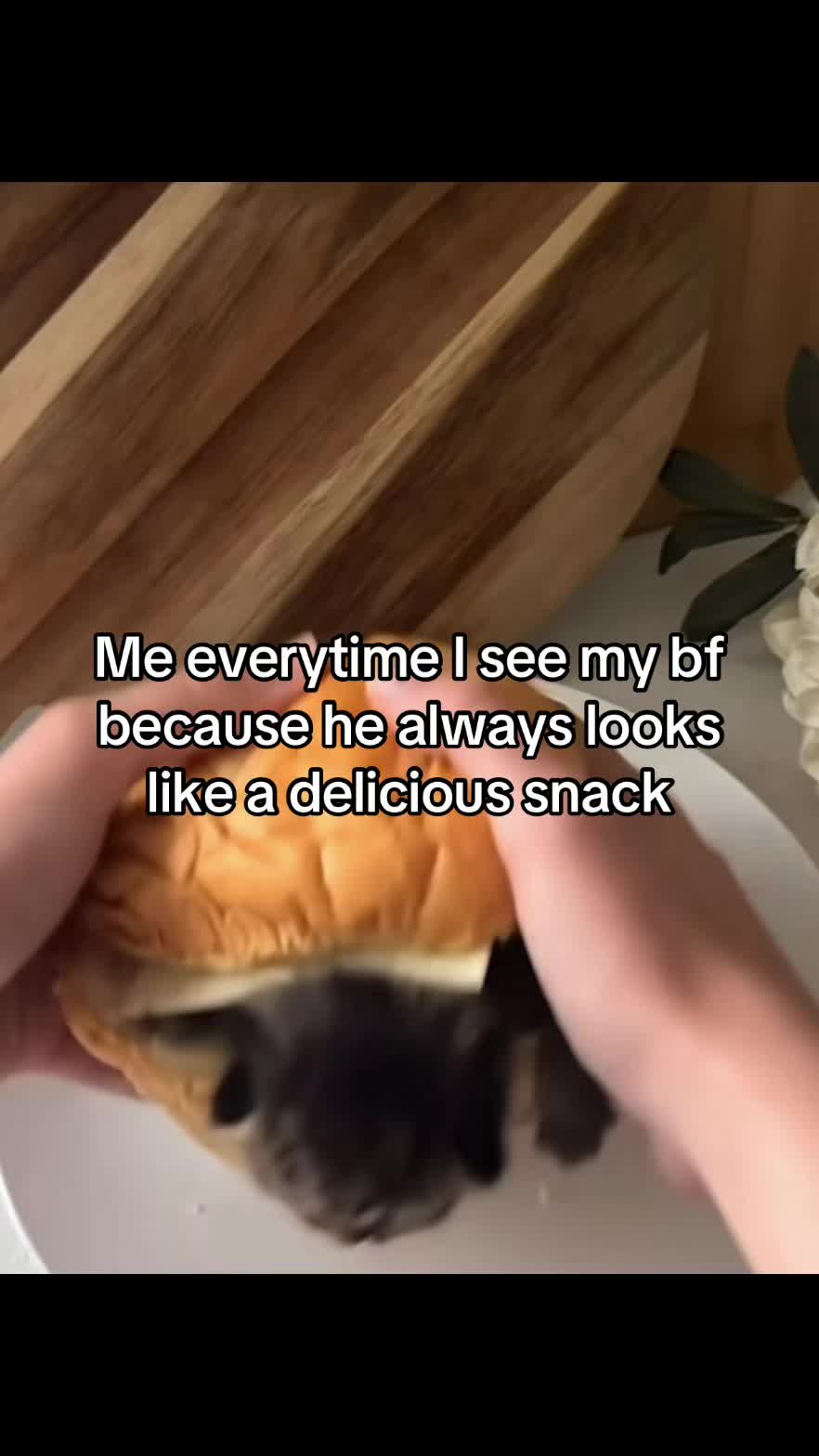 @LavanderCat