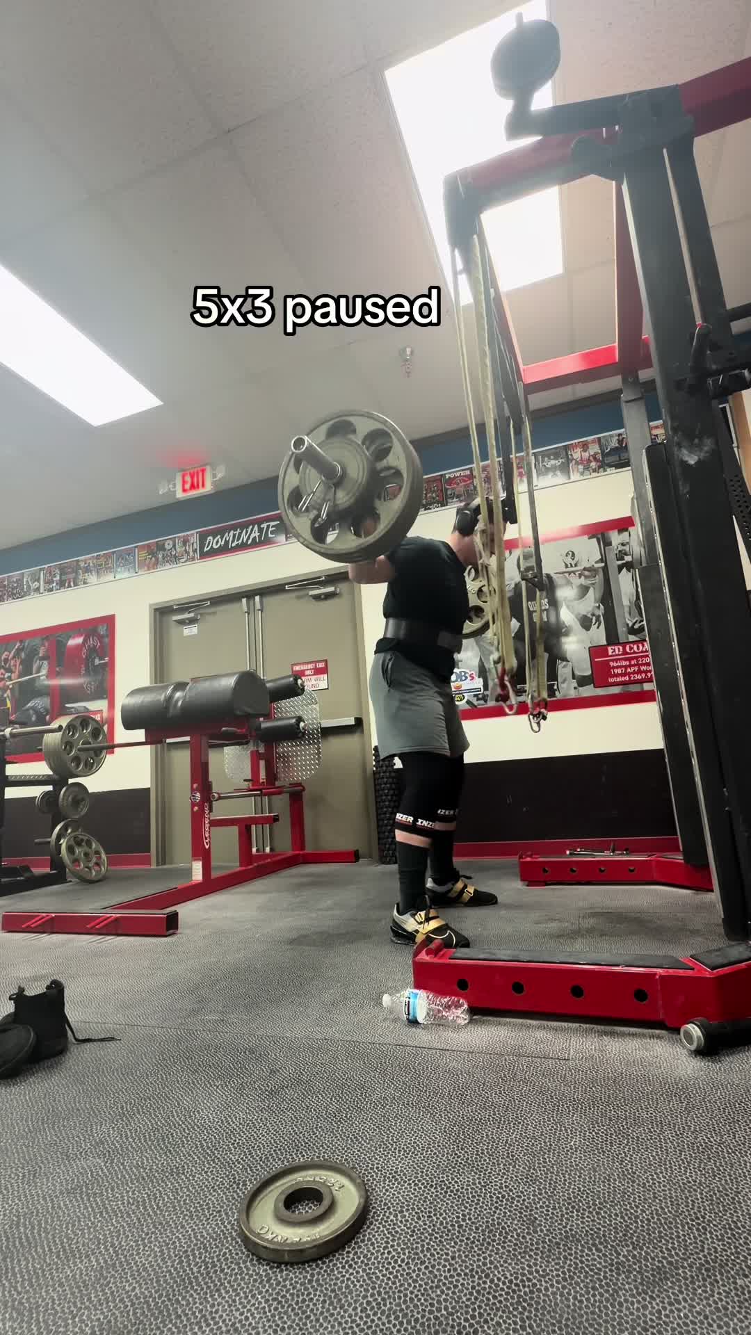 @tdbird01