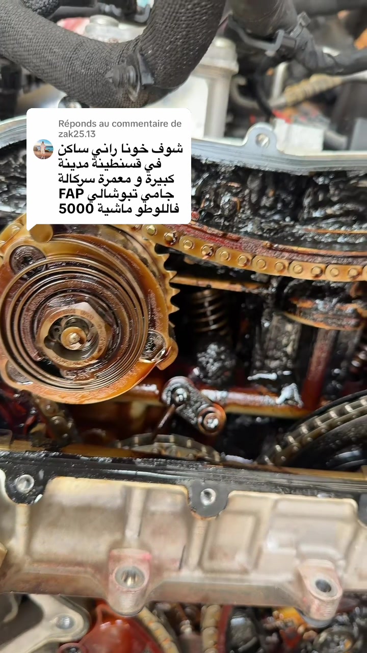 @toutou rangerover