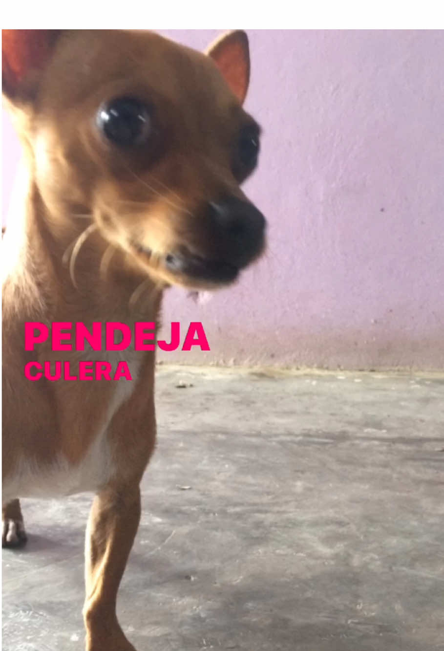 @𝐤𝐞𝐧𝐝𝐫𝐚 ✿