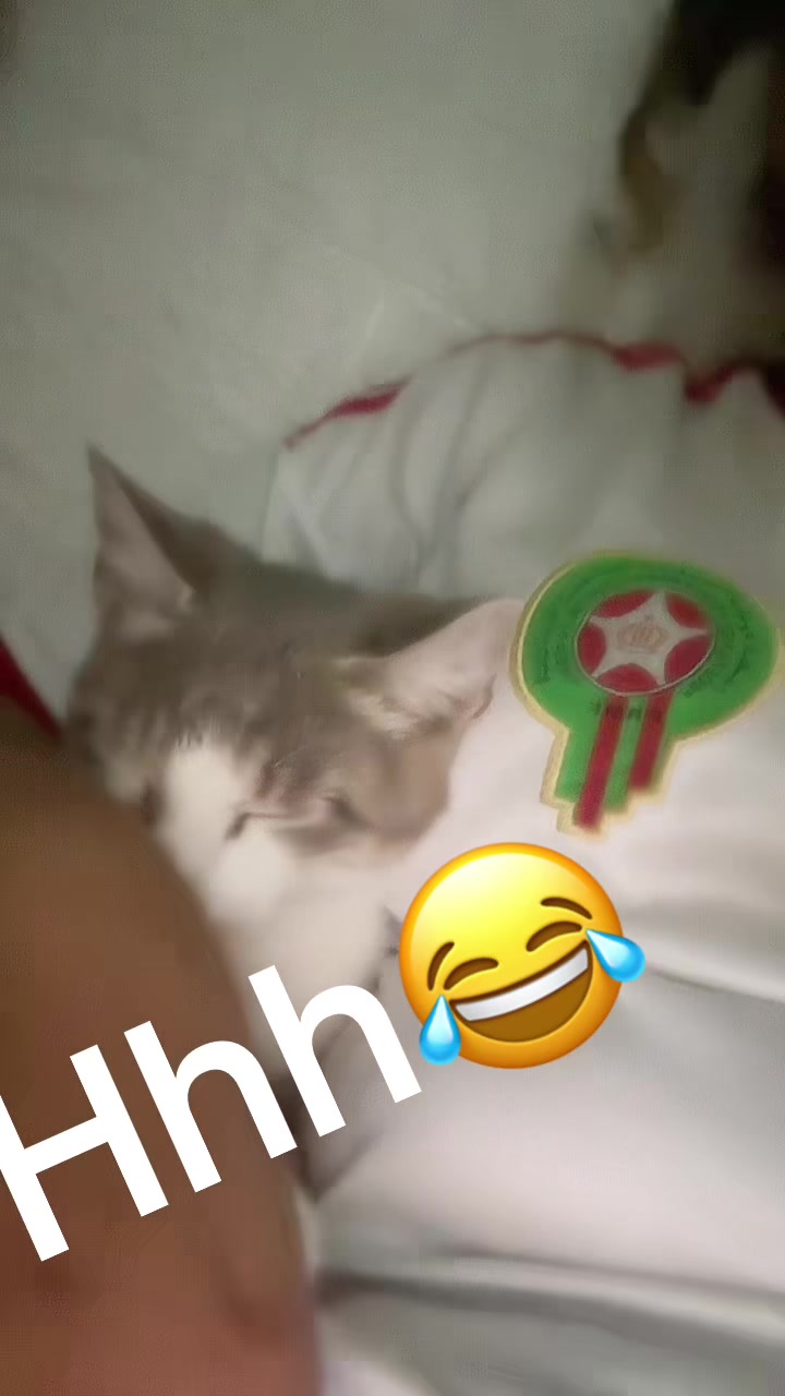 @casawia