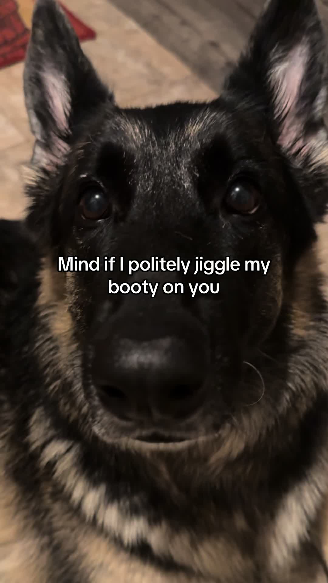 @Bhris