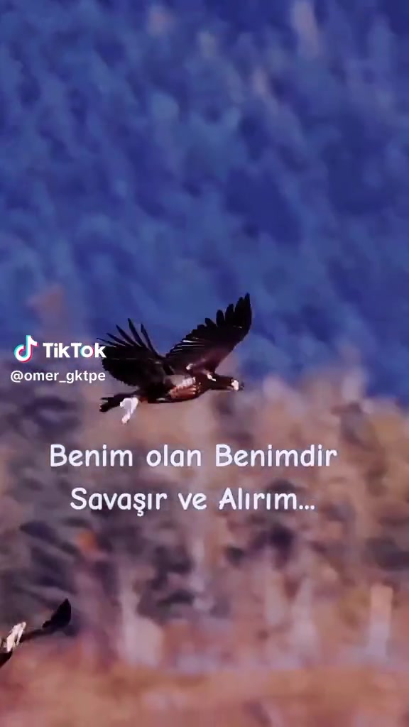 @🇹🇷💞Ayyüzlü ♓️💞