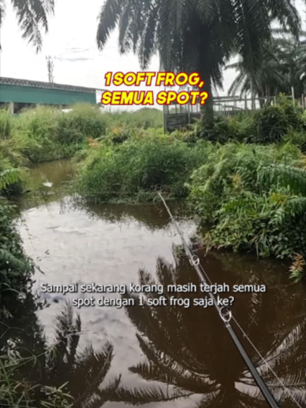 @EXP FISHING