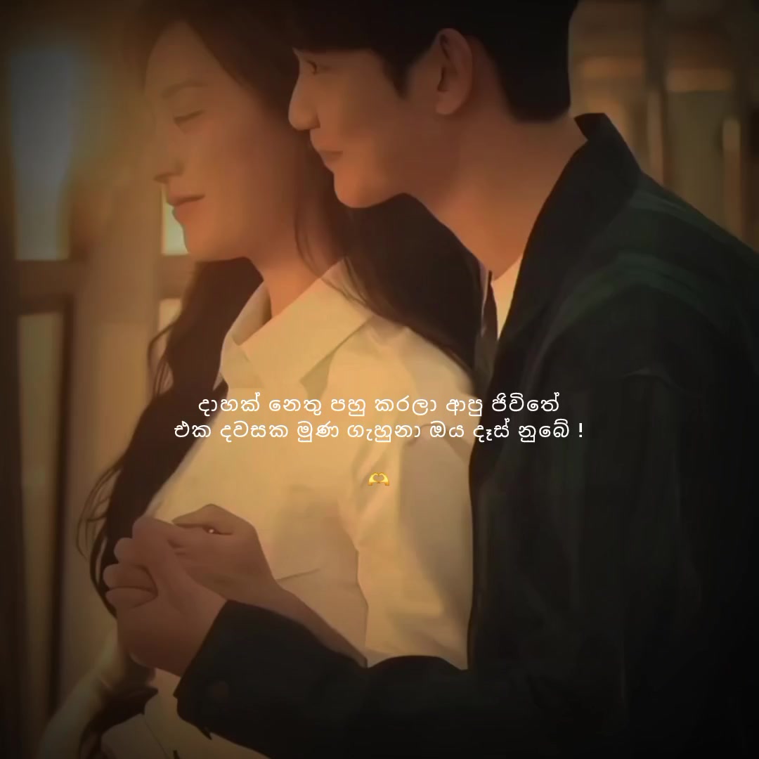 @Տ ᕼ ᗩ Տ ᕼ I 🎀 "