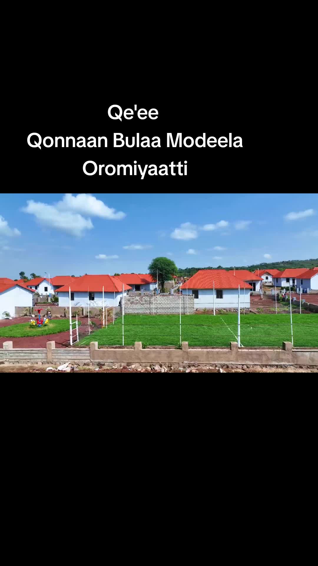 @Shimallis Abdisa Parody