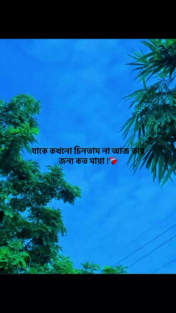 @🌿🌼★..ঝরা ফুল..★🌼🌿
