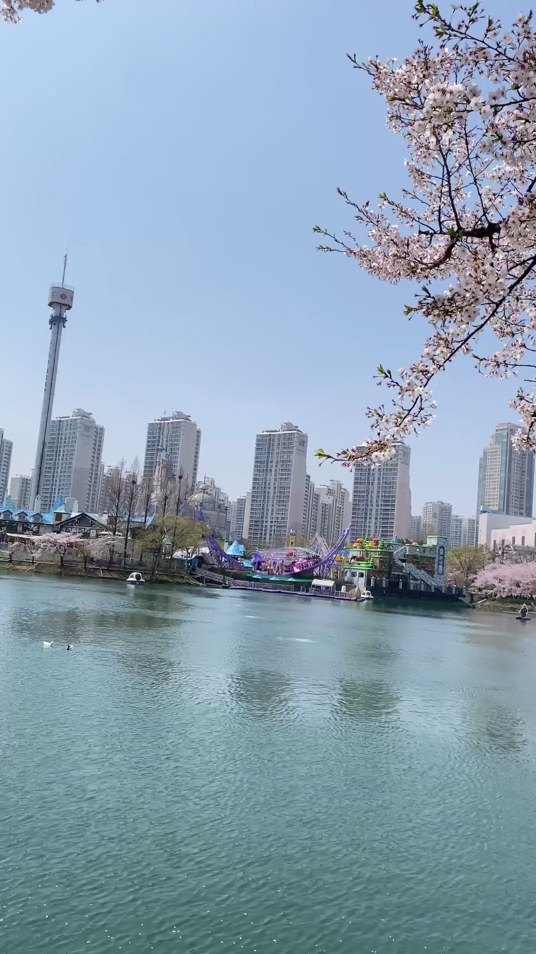 @Prank korea