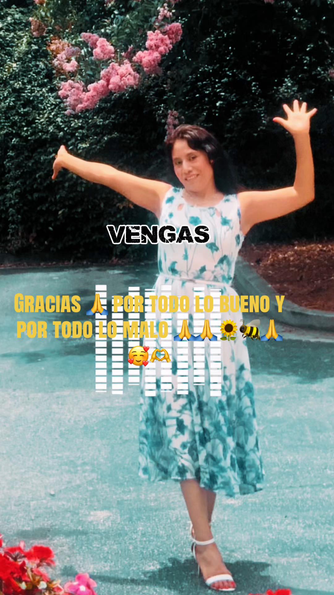 @CHELY🌻🐝🧩💙👻🐣🍌🪽