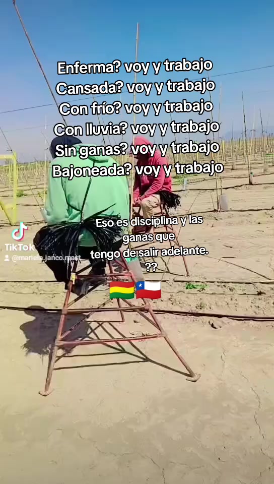 @mariela janco masti