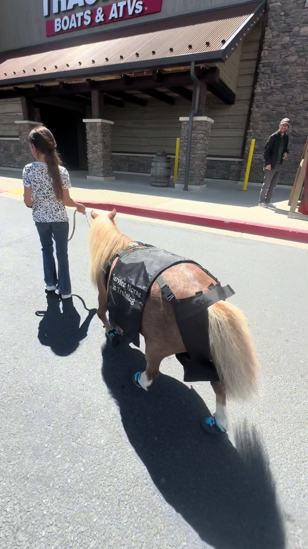 @Hot Sauce the Mini horse 🐎