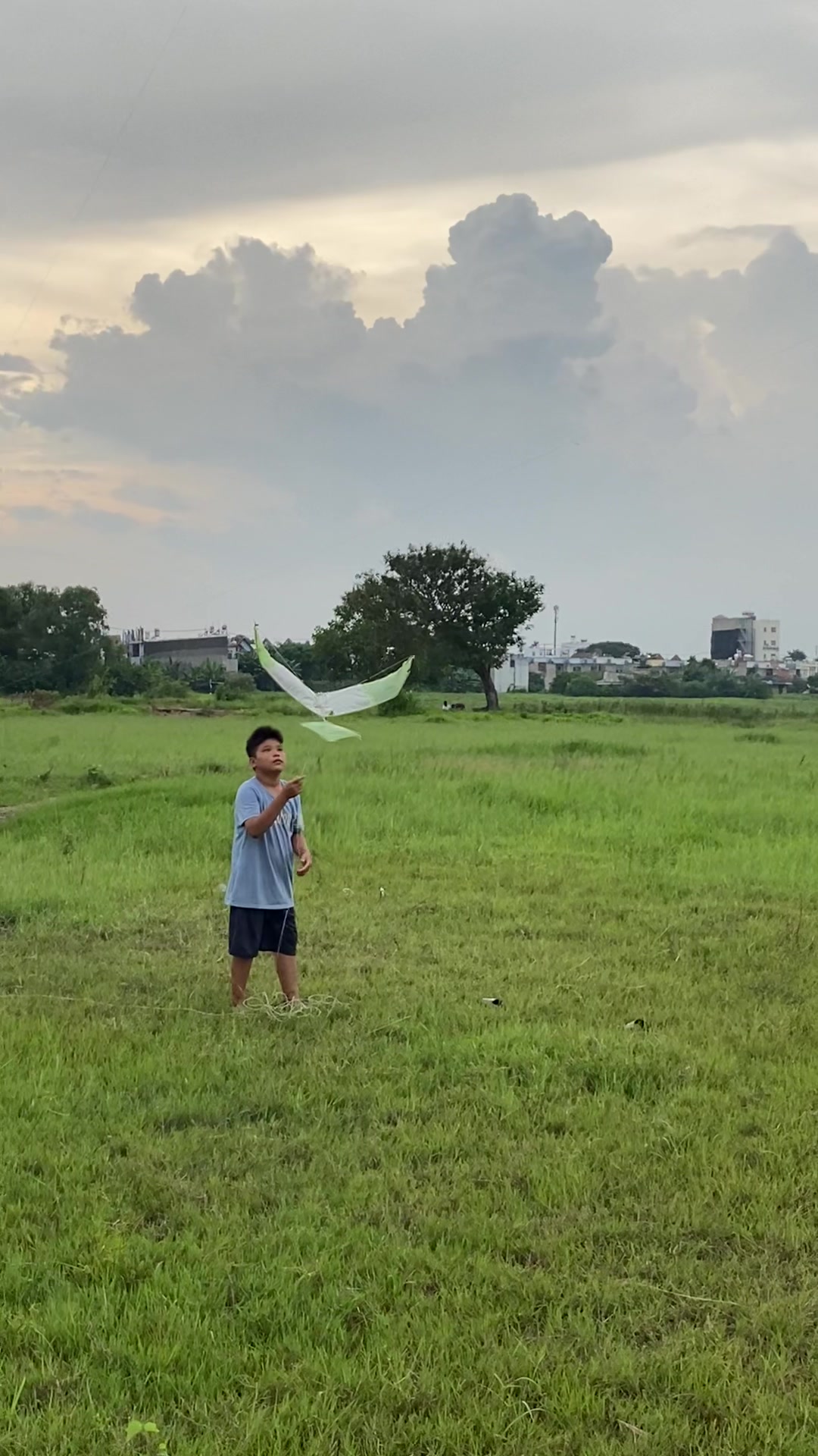 @Thả diều cùng Lợi