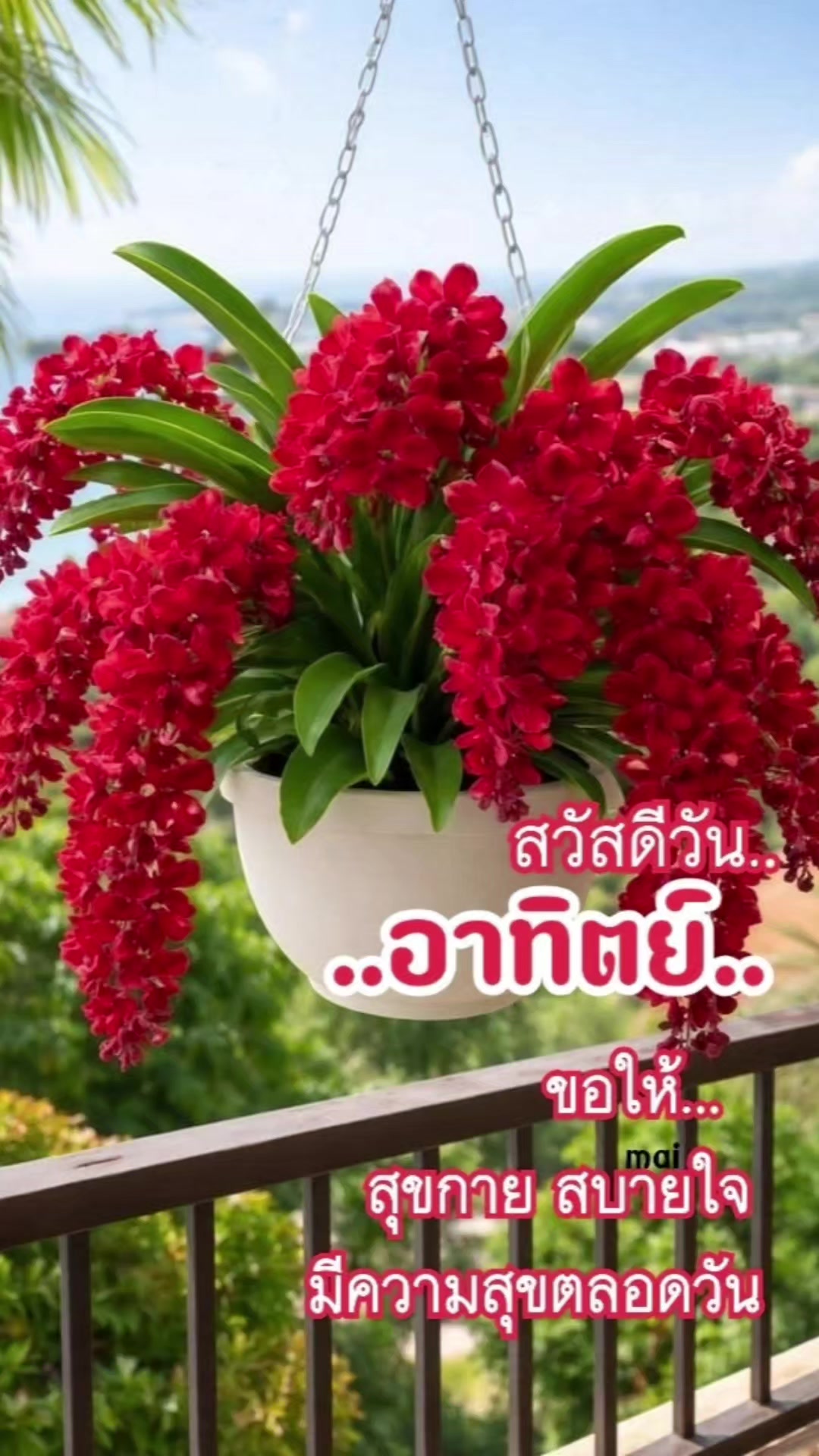 @Orasa mokkhdksoongg