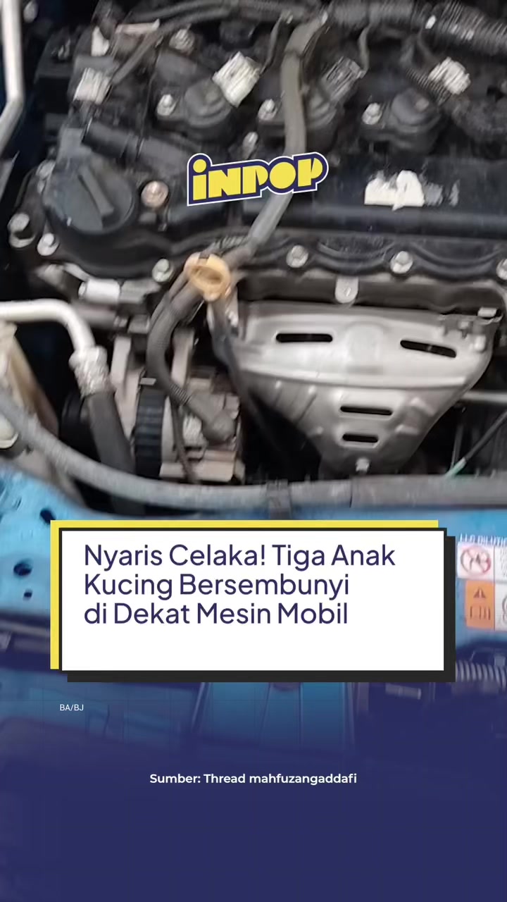 @inpopmedia