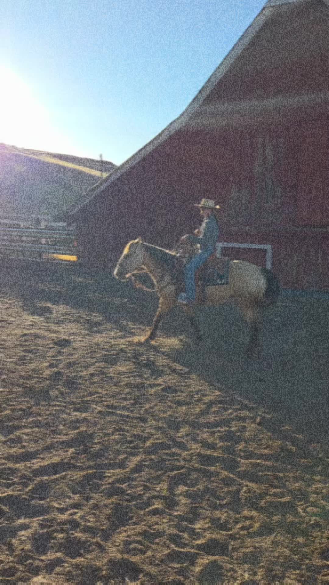 @The Rare Buckaroo