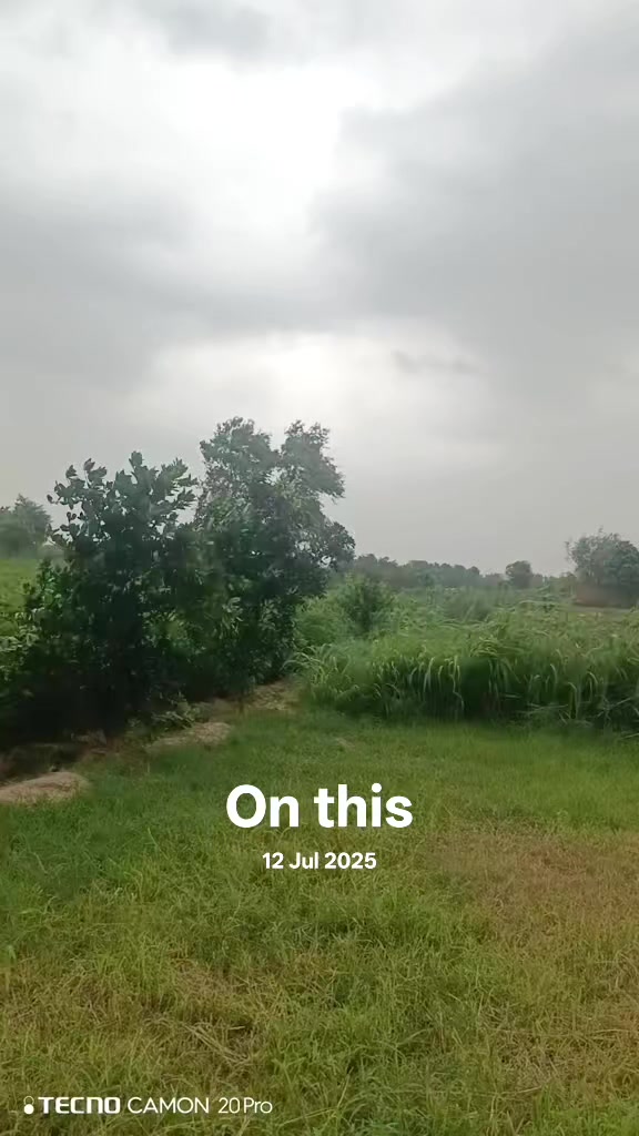 @Mr.Tori.Farming (pathologist)