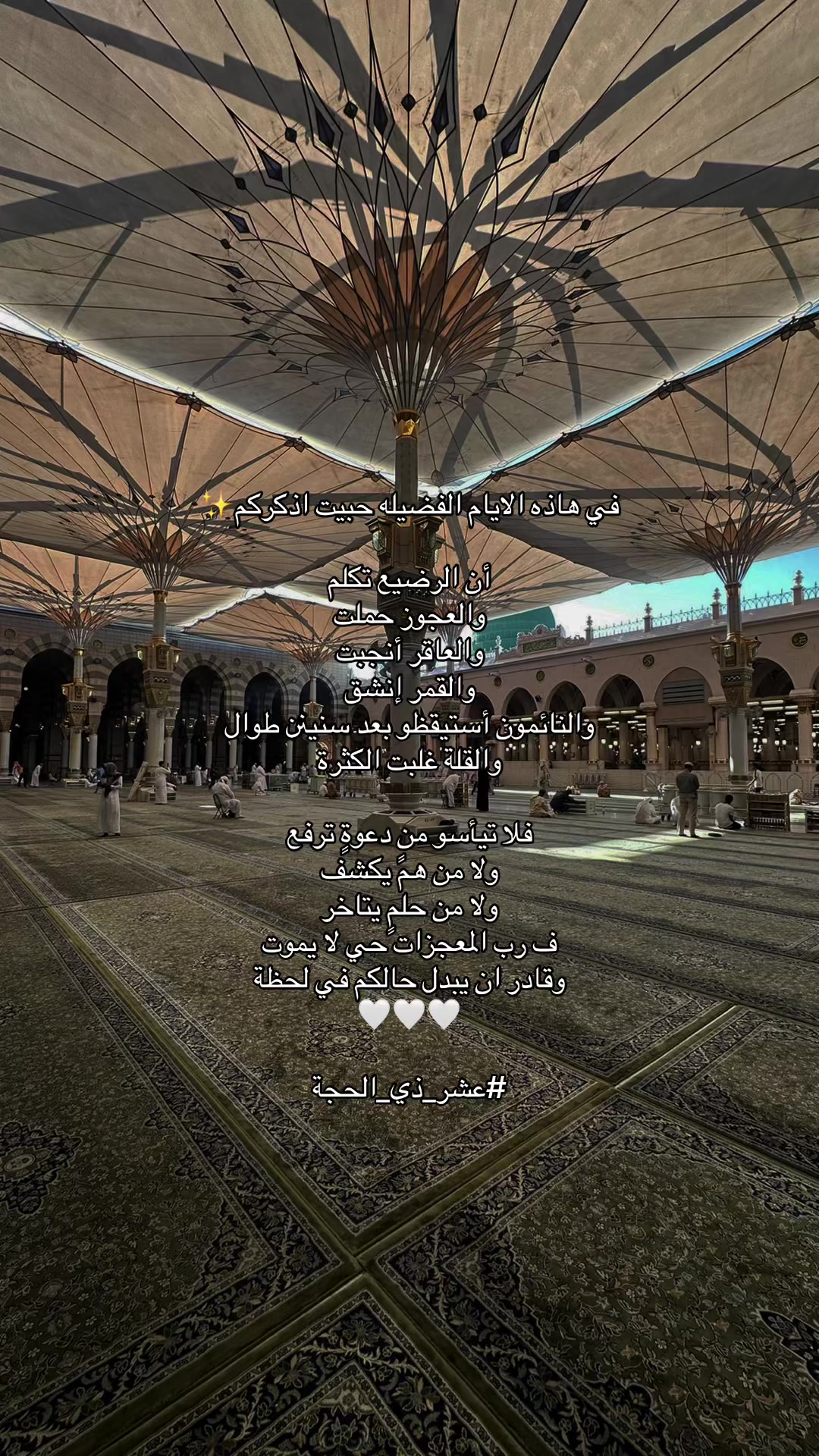@متطوعة | المدينة المنورة 🕌