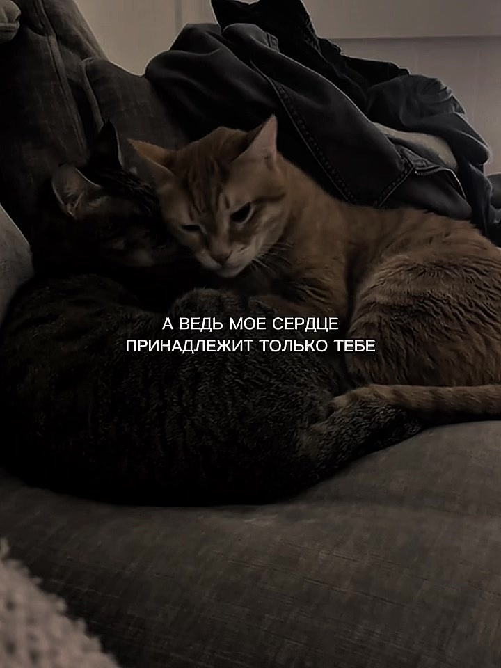 @ХХИКА