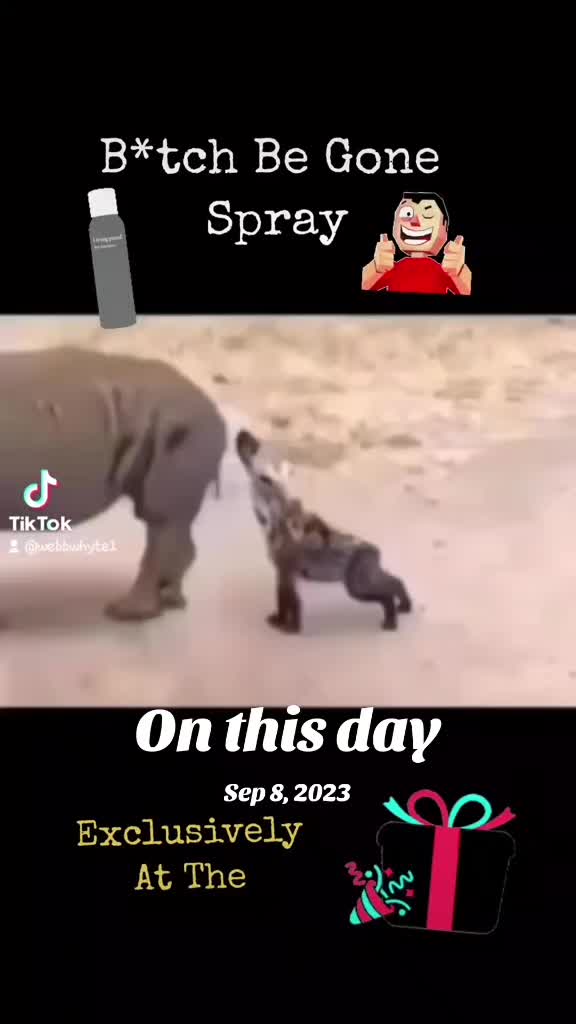 @Just ๐ธ๏ธ