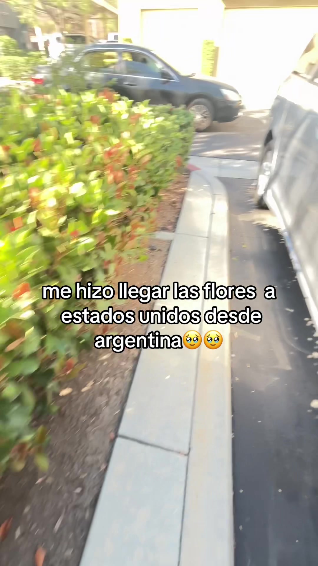 @martuprodan