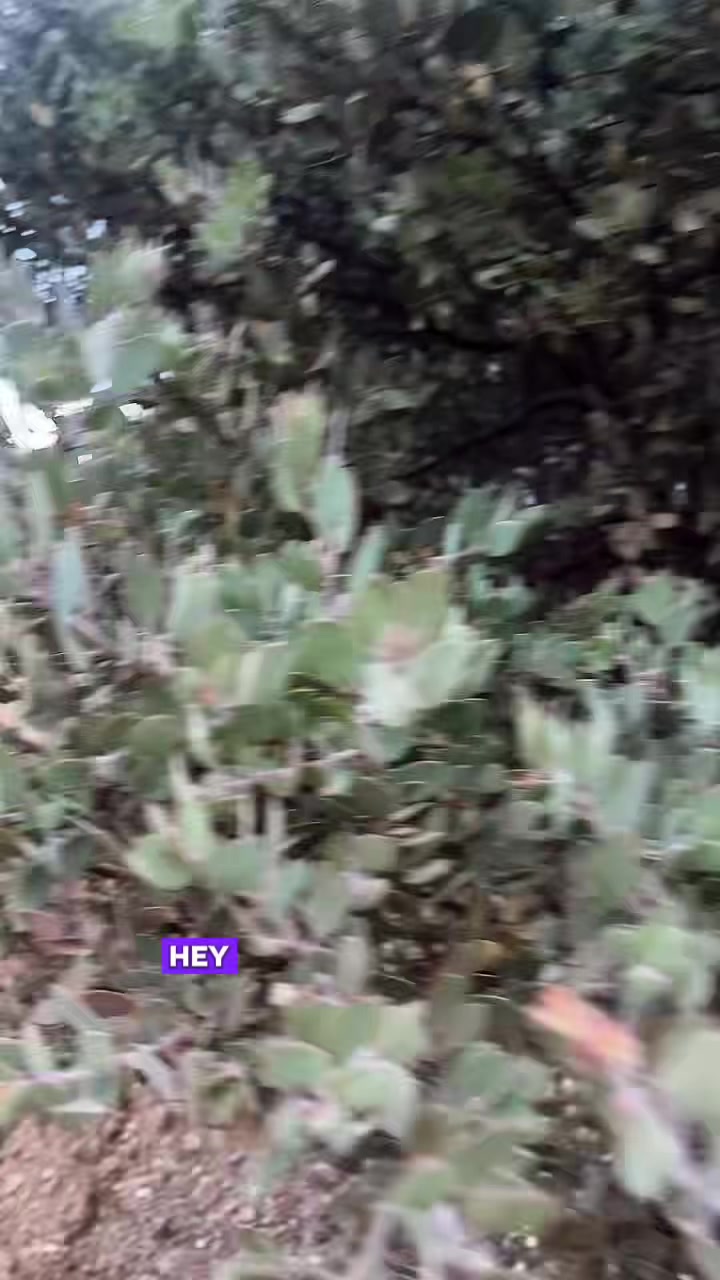 @e_arth_girl