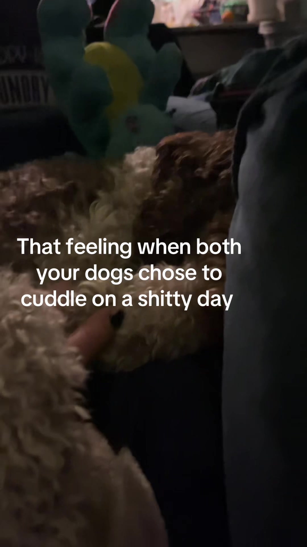 @Brie