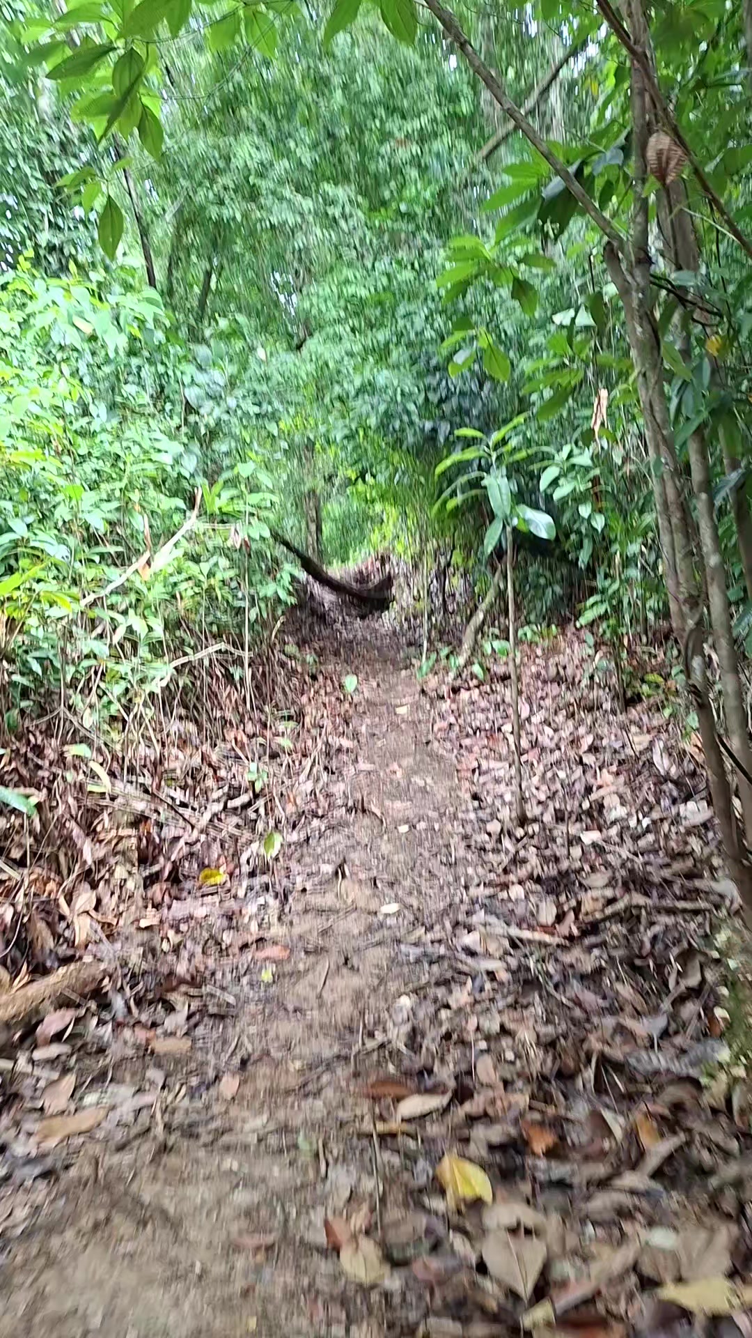 @HikeLife Adventures