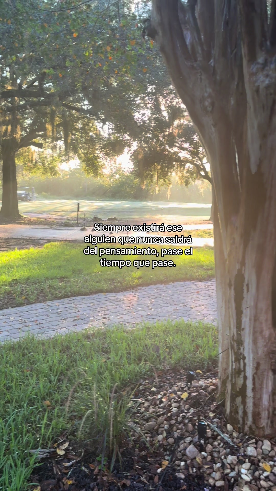 @✨️Dra.Deyliana✨️