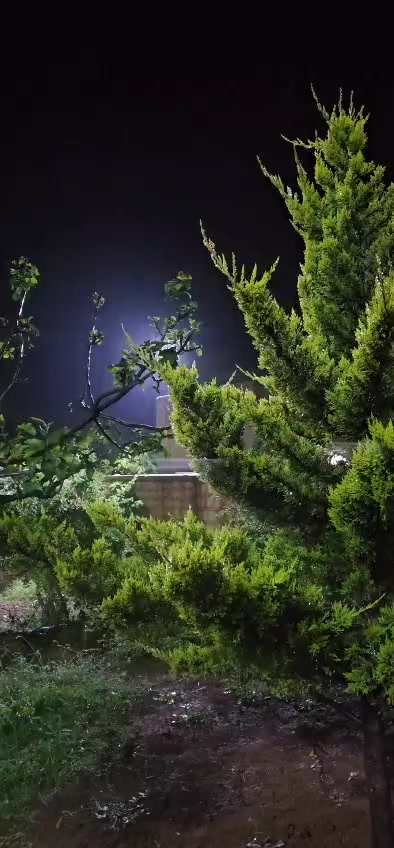 @يونس ال علوش