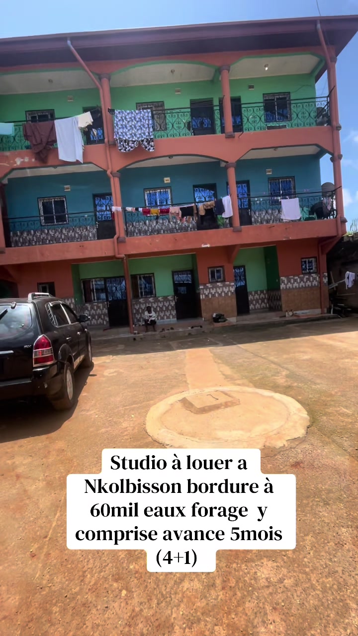 @DINO~IMMO~237🇨🇲🇨🇲