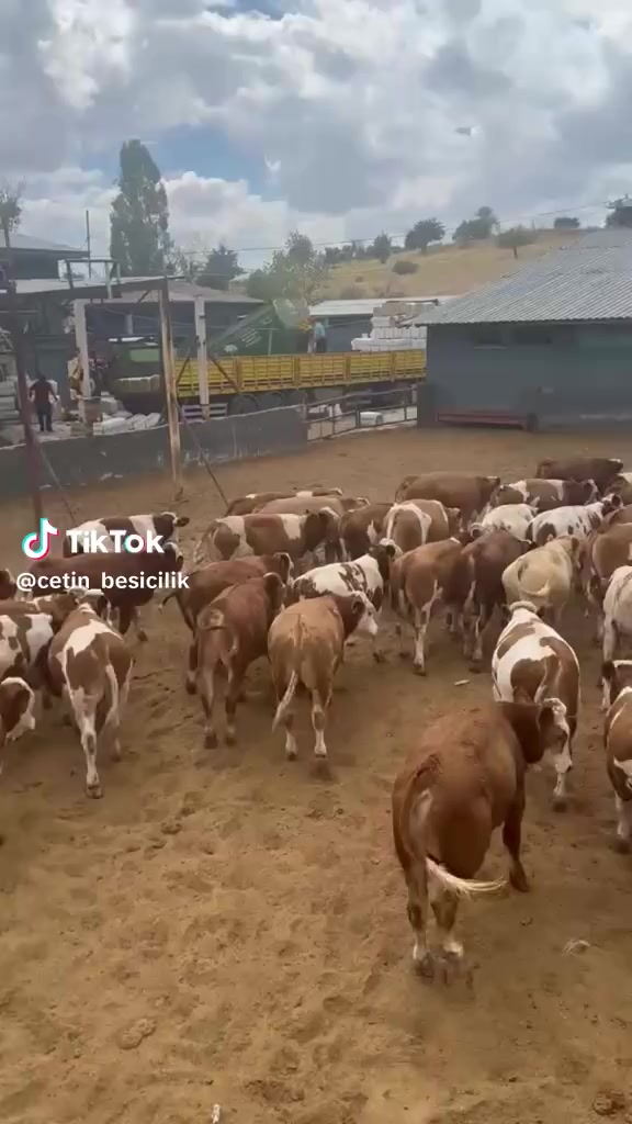 @Ahmet Çetin