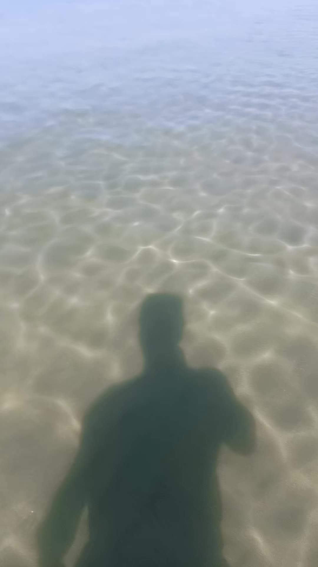 @Nicola Esposito