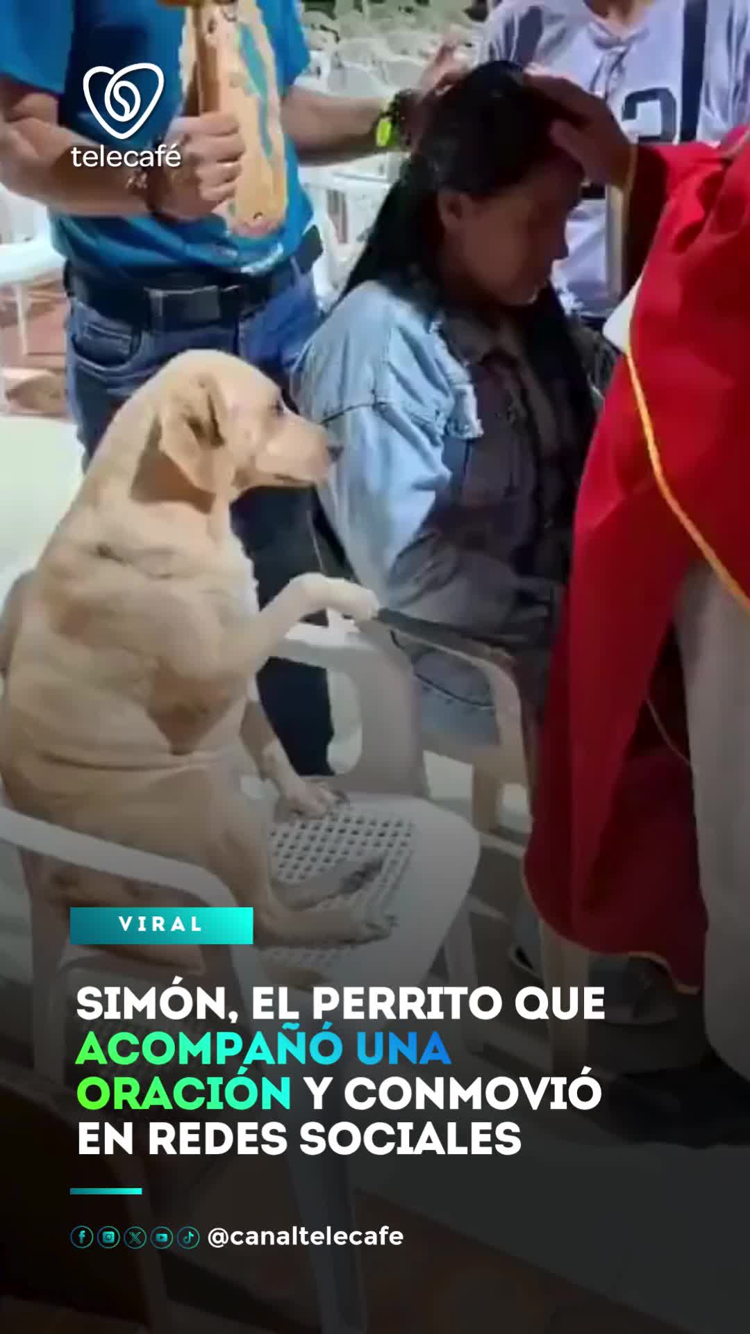 @Canal Telecafé
